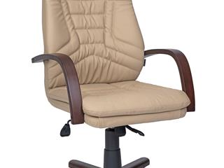 MARTİN MÜDÜR KOLTUK